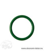 O-ring (1 stk.)